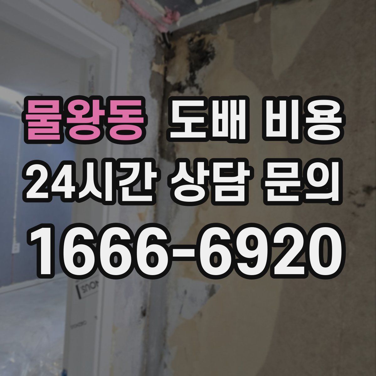 물왕동 도배 비용