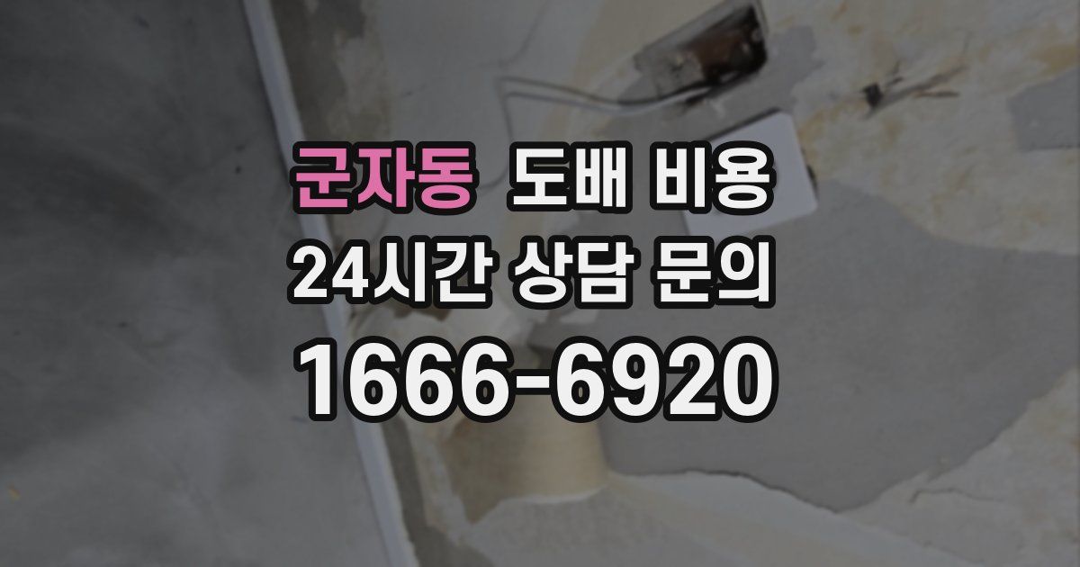 군자동 도배 비용