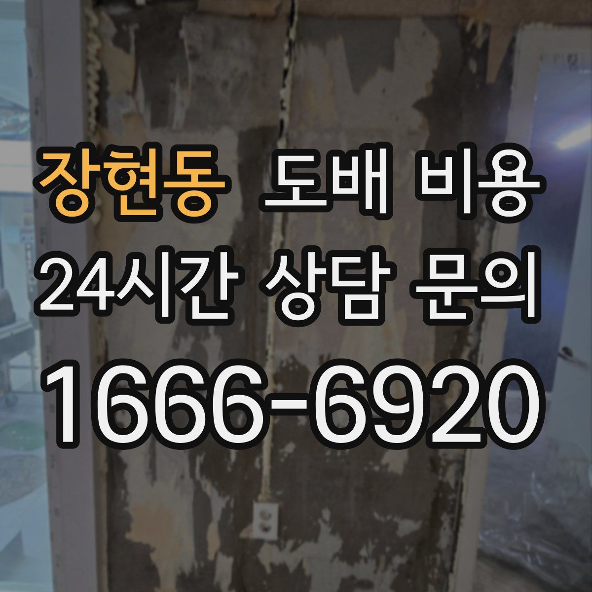 장현동 도배 비용