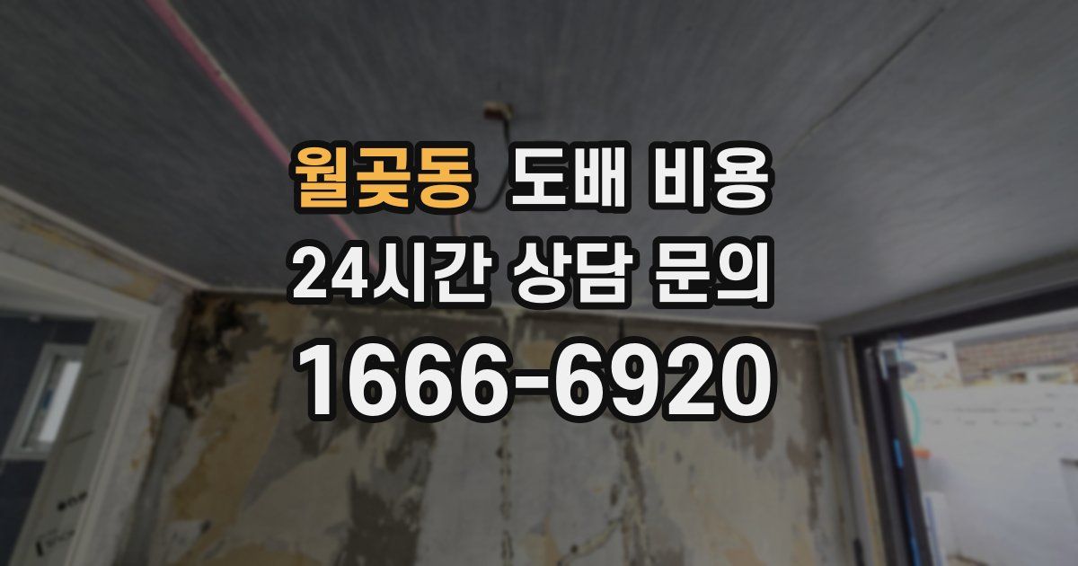 월곶동 도배 비용