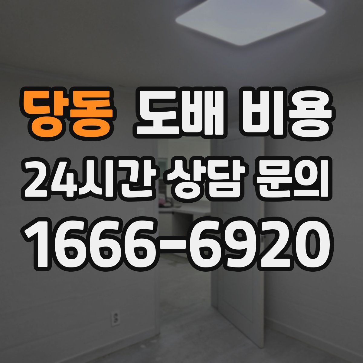 당동 도배 비용