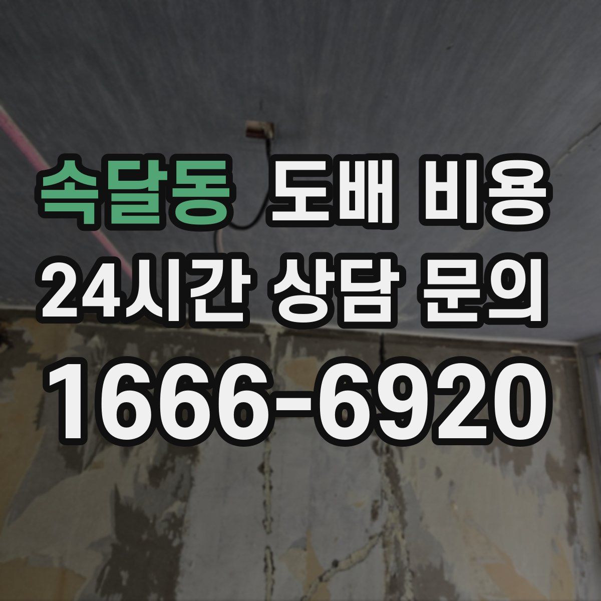 속달동 도배 비용