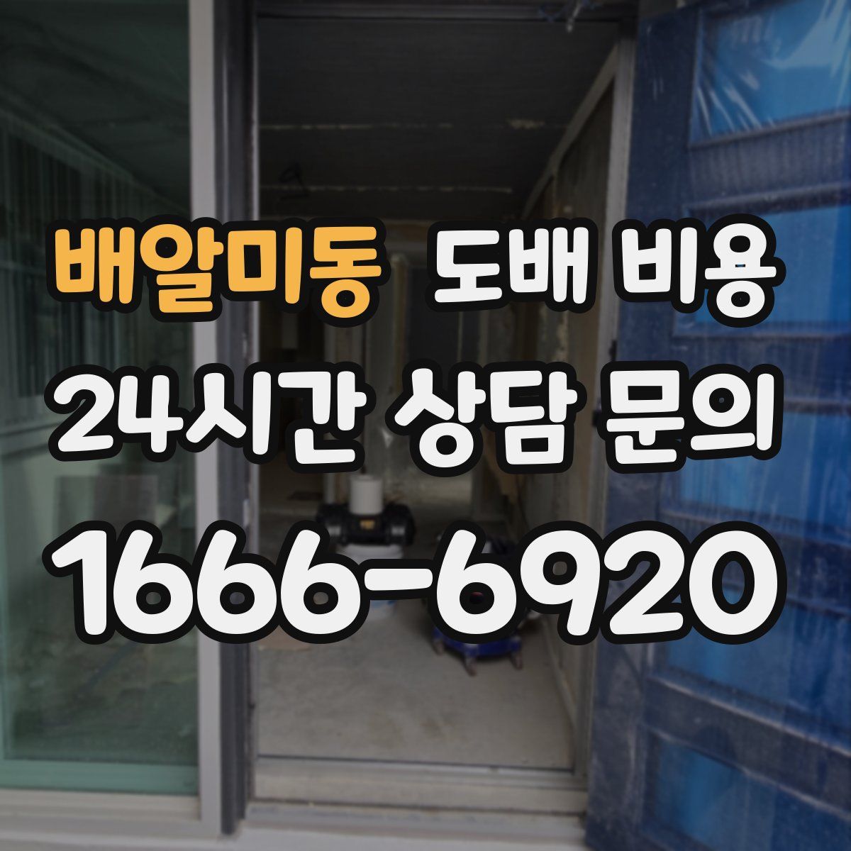 배알미동 도배 비용