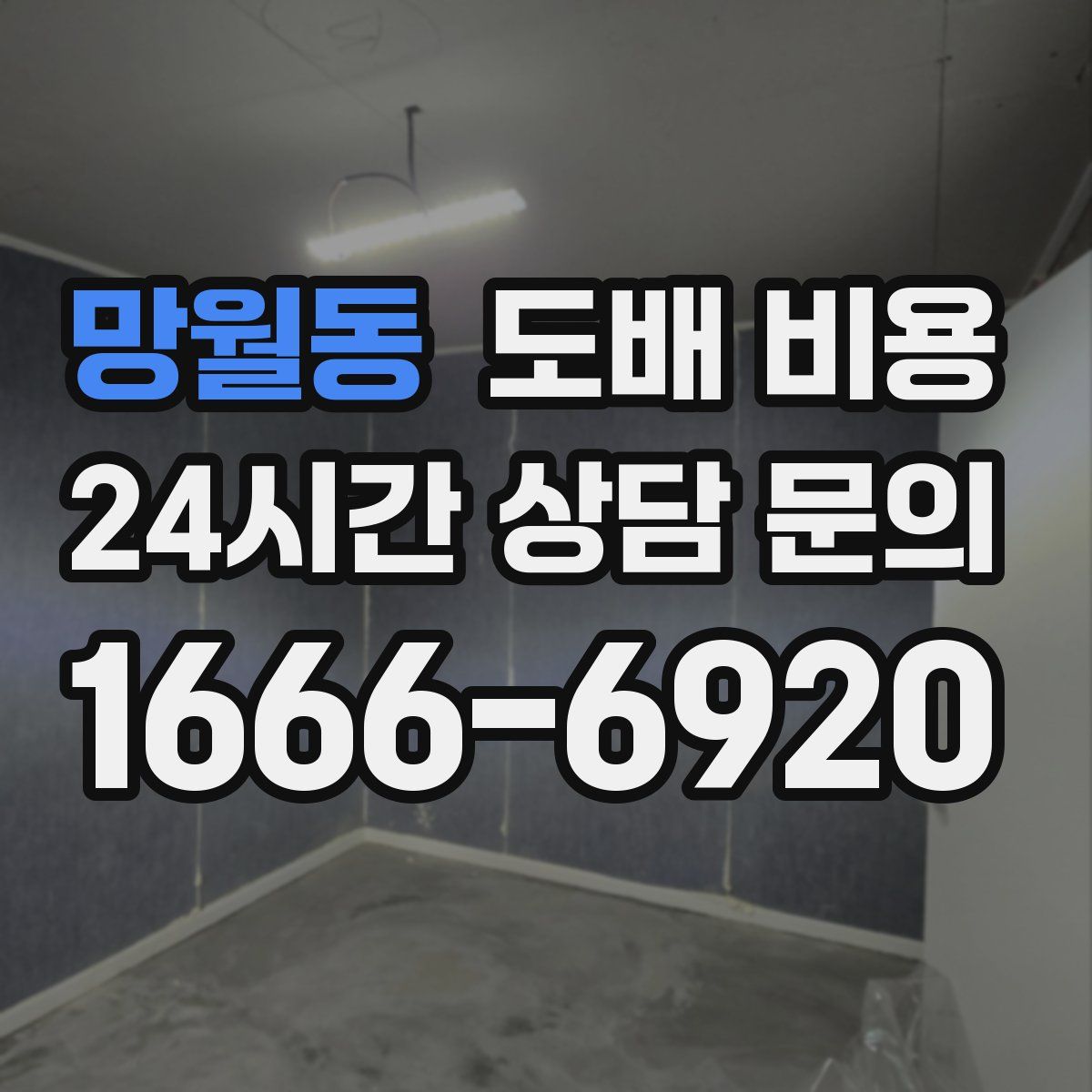 망월동 도배 비용