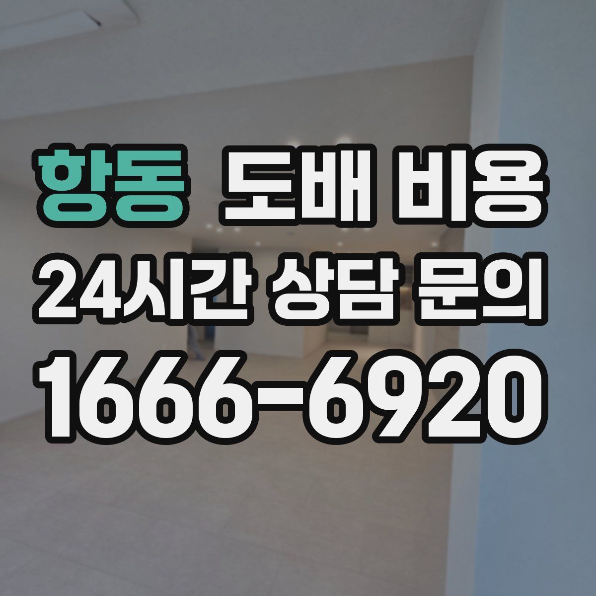 항동 도배 비용