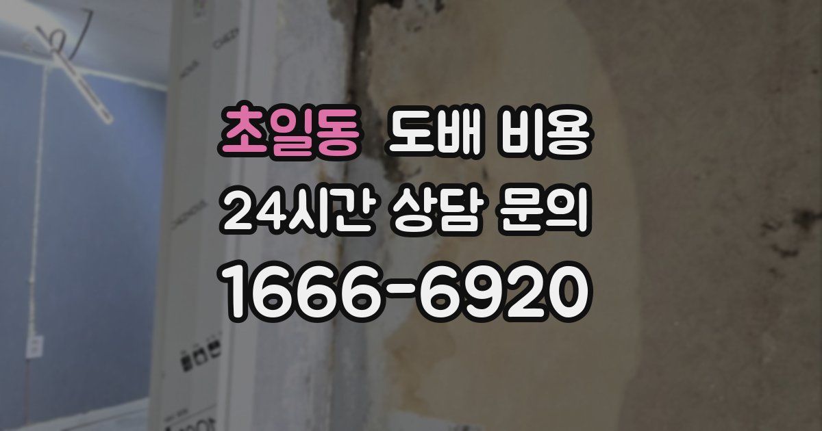 초일동 도배 비용