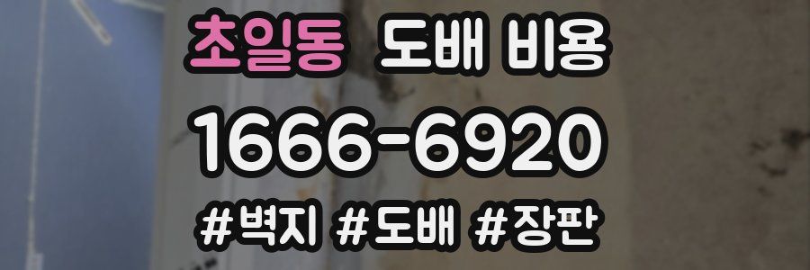 초일동 도배 비용