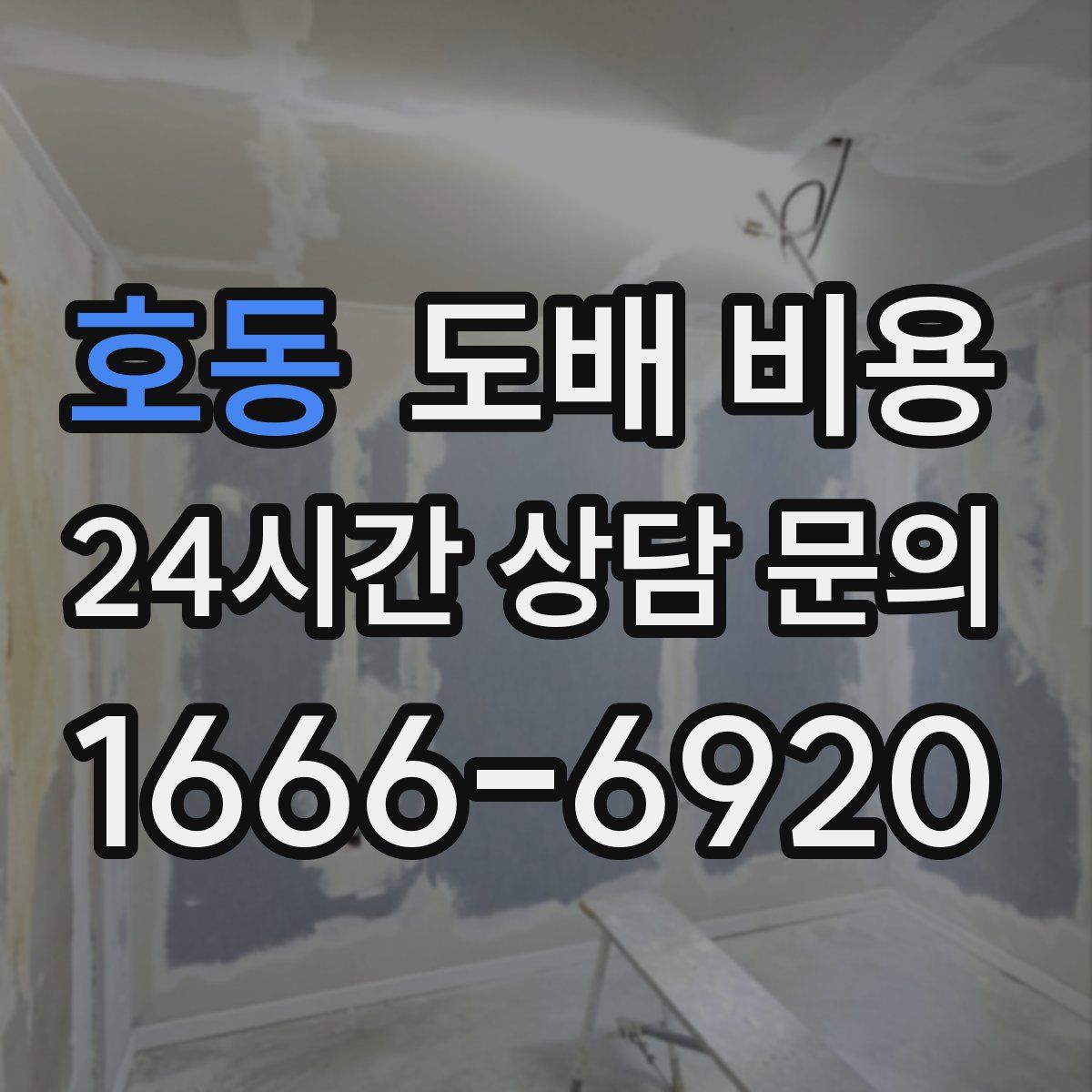호동 도배 비용