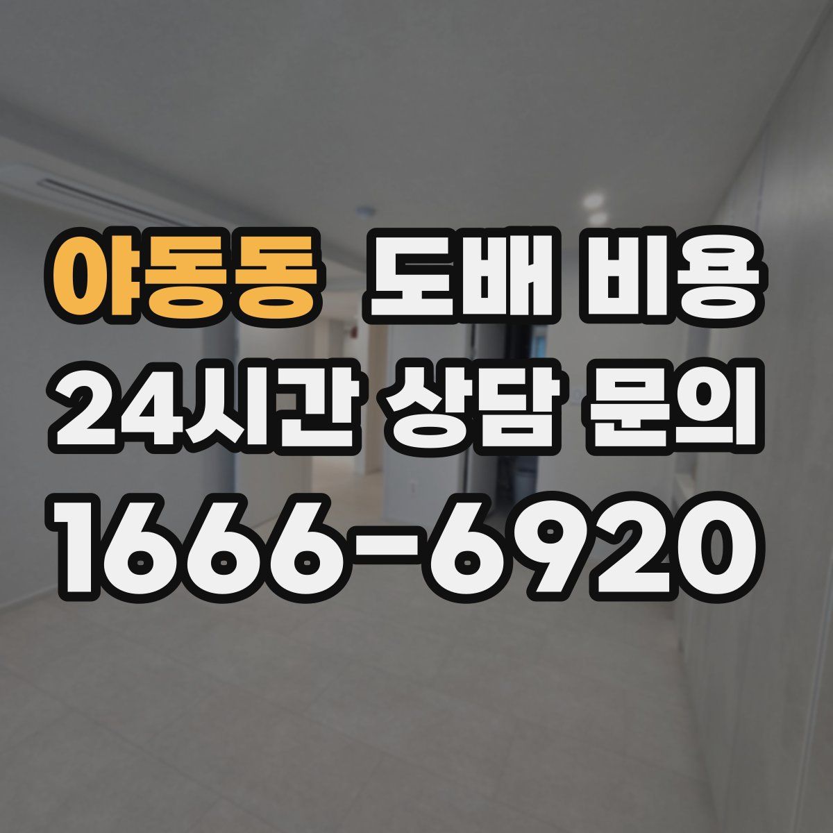 야동동 도배 비용