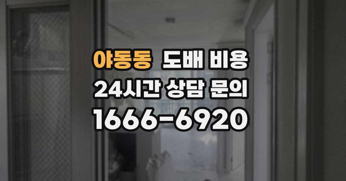 야동동 도배 비용