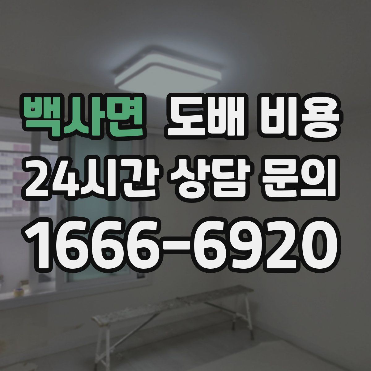 백사면 도배 비용