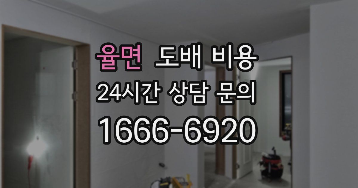 율면 도배 비용