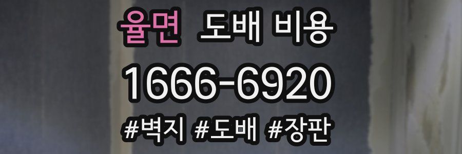 율면 도배 비용