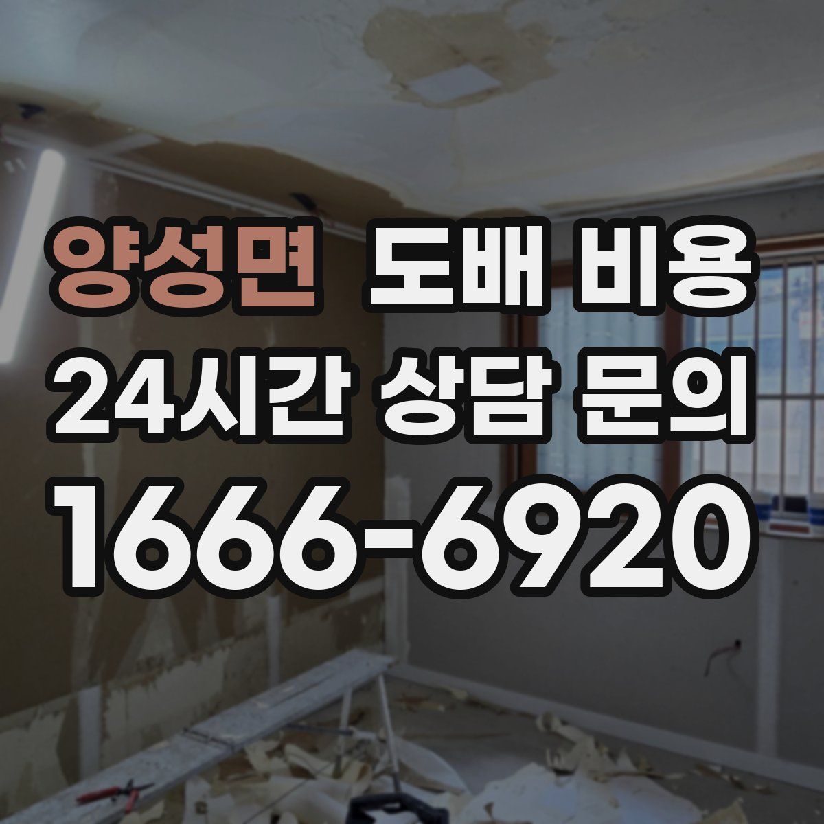 양성면 도배 비용