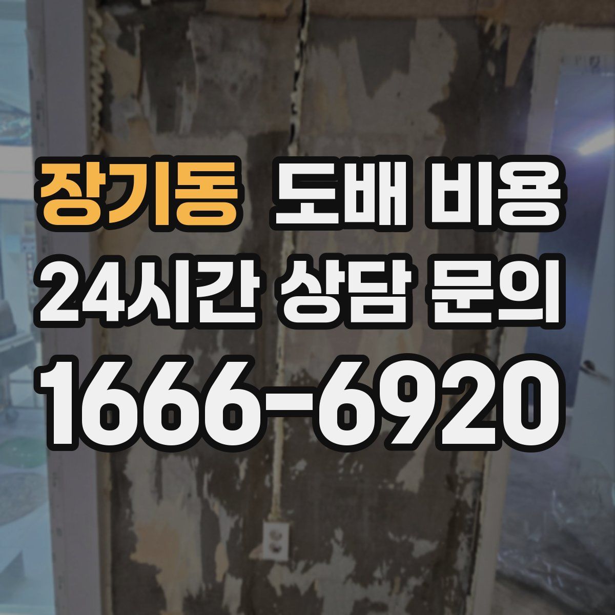 장기동 도배 비용
