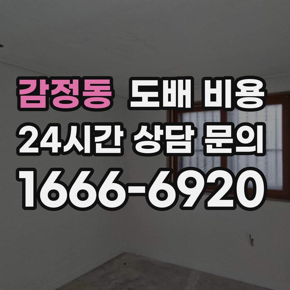 감정동 도배 비용