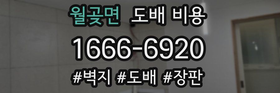 월곶면 도배 비용