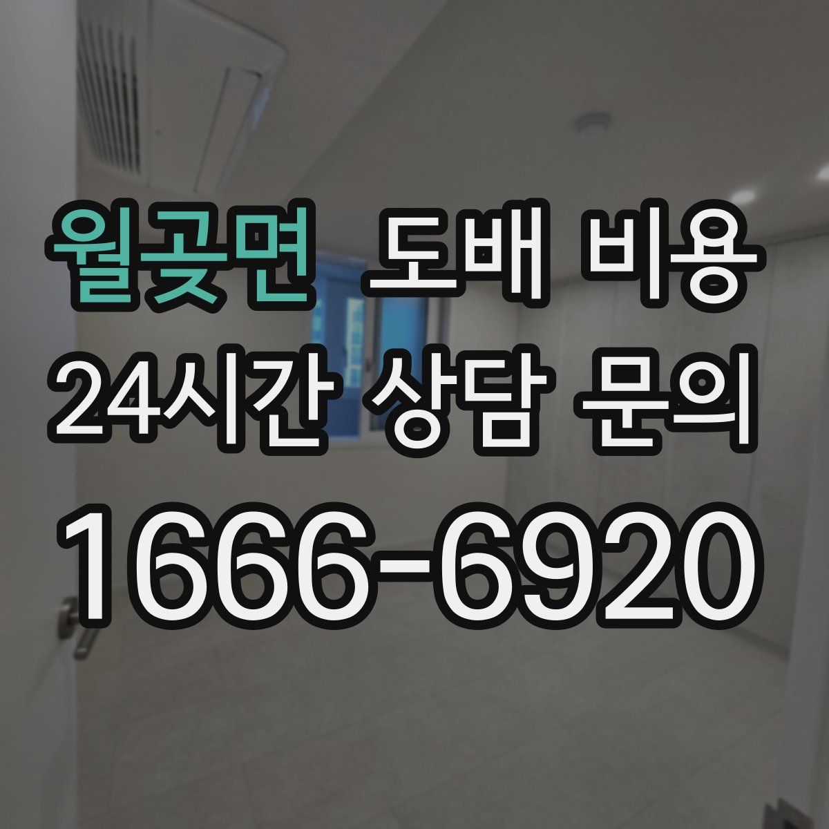 월곶면 도배 비용