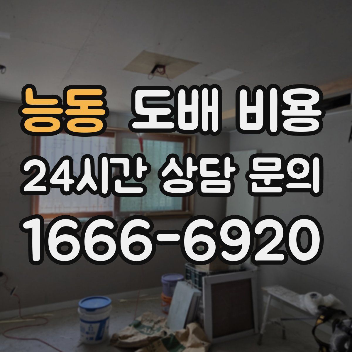 능동 도배 비용