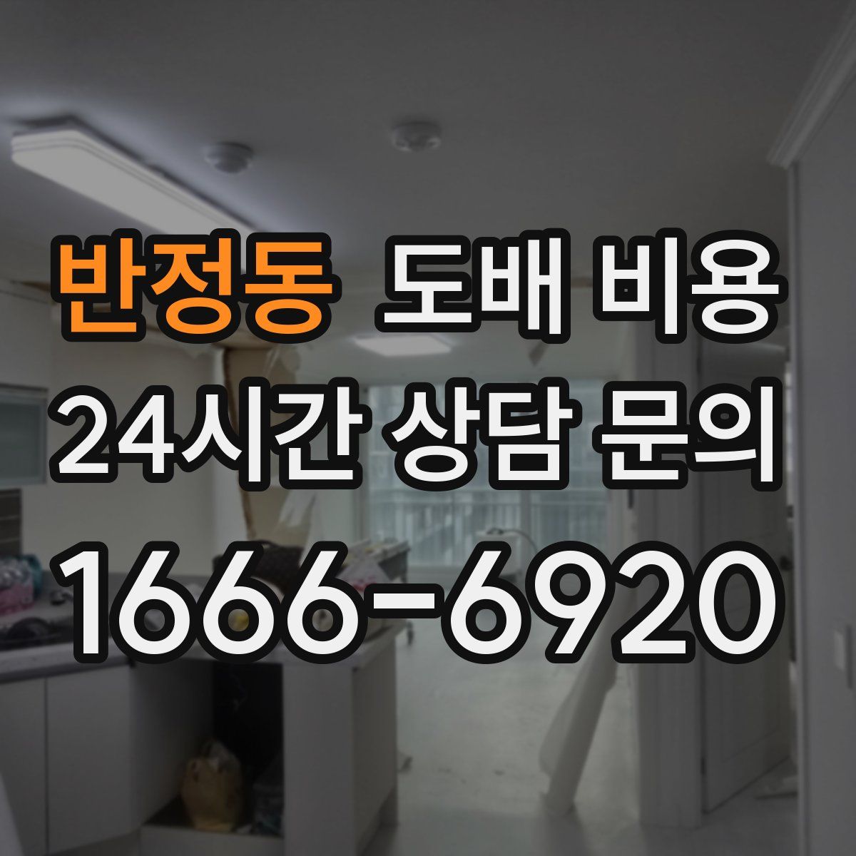 반정동 도배 비용
