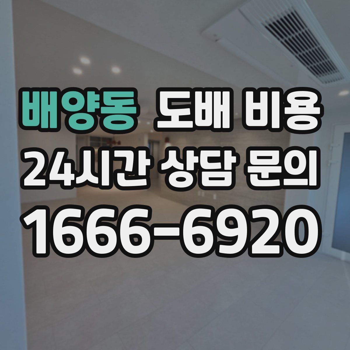 배양동 도배 비용