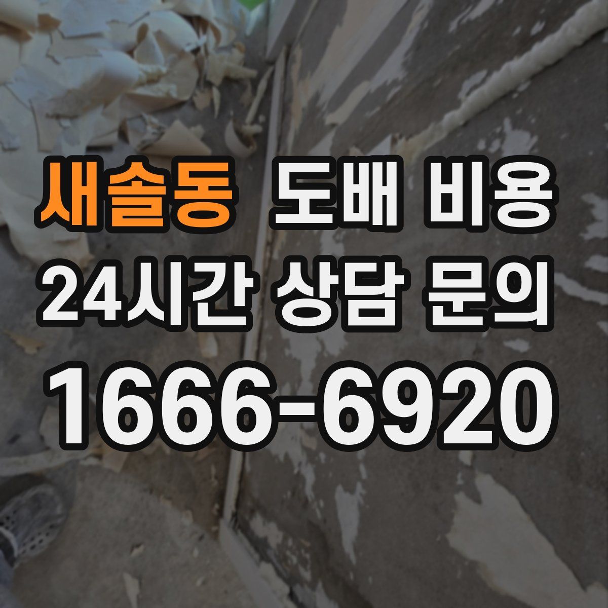 새솔동 도배 비용