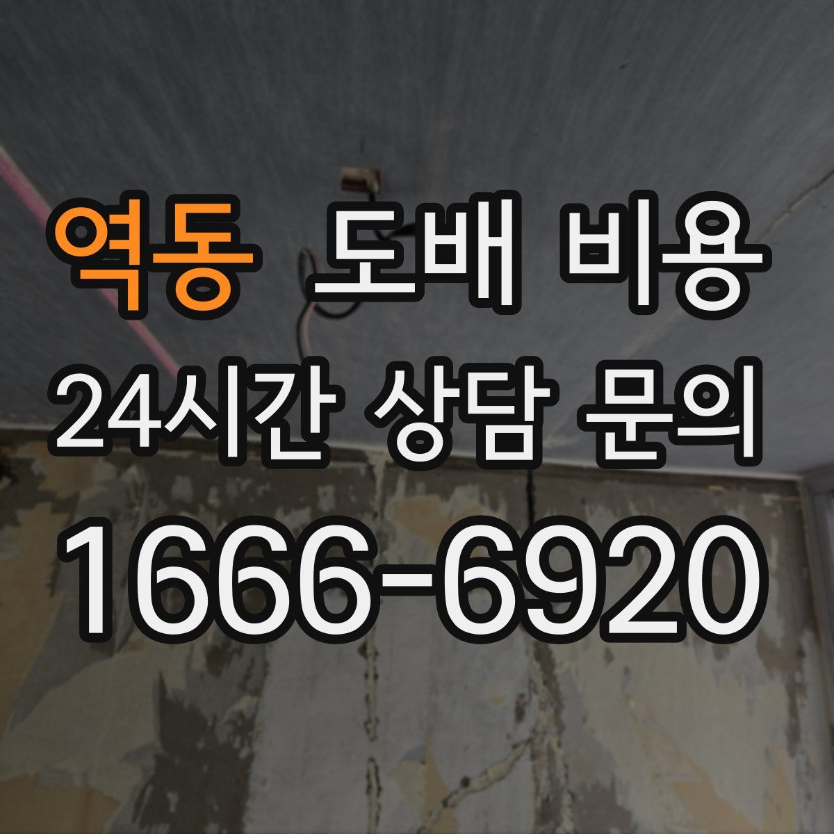 역동 도배 비용
