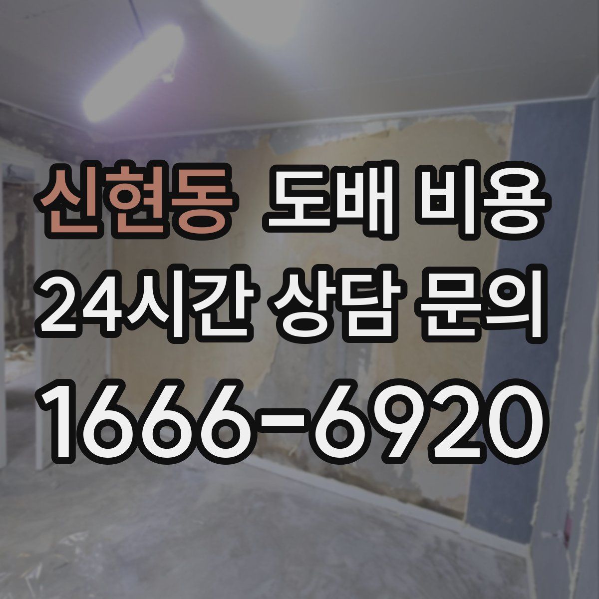 신현동 도배 비용