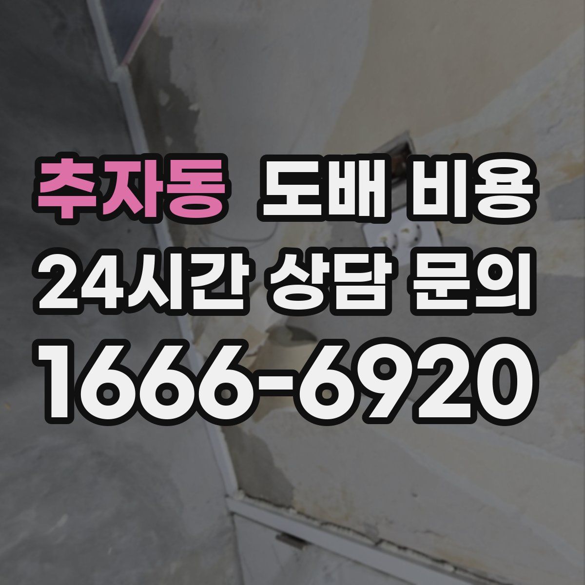 추자동 도배 비용