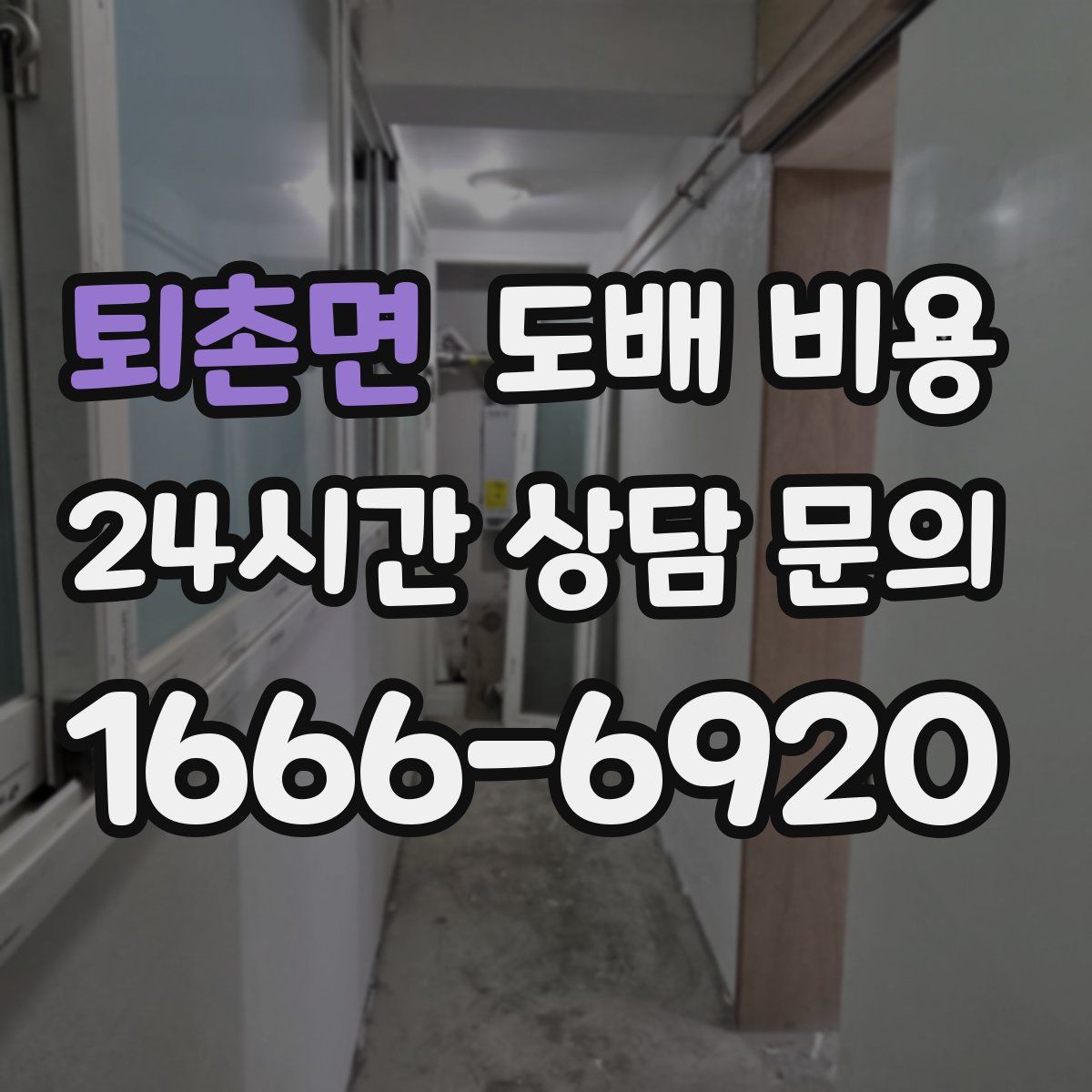 퇴촌면 도배 비용
