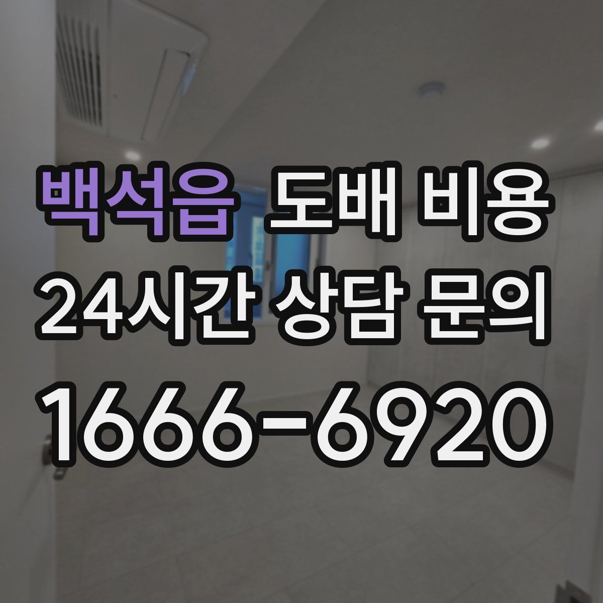 백석읍 도배 비용