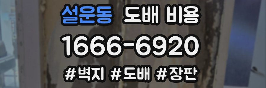 설운동 도배 비용