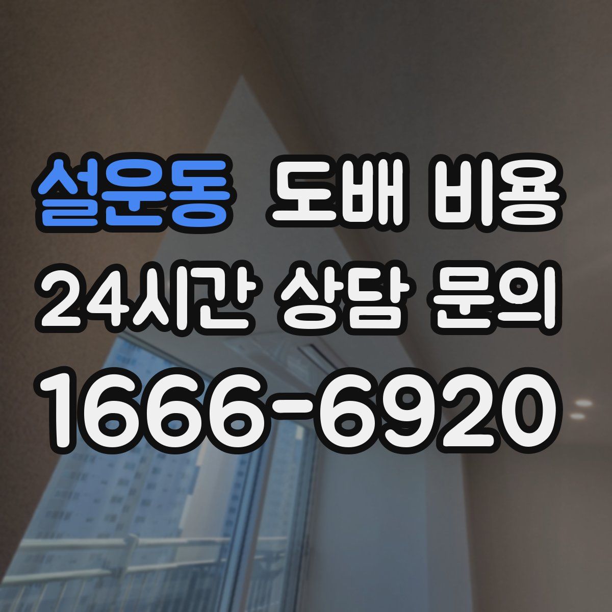 설운동 도배 비용