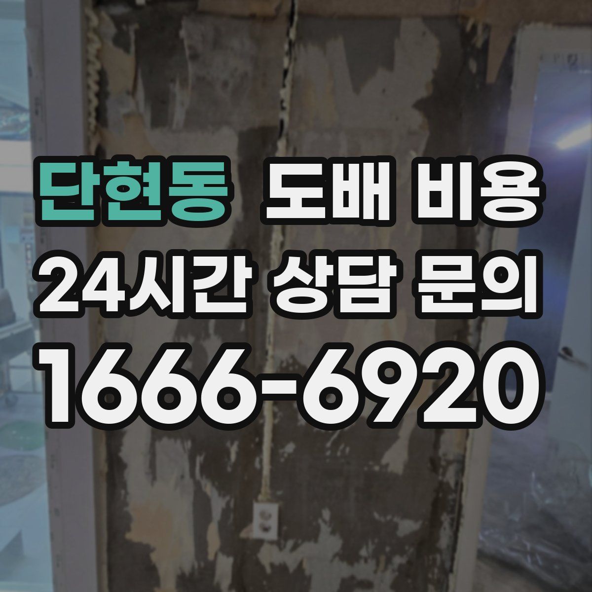 단현동 도배 비용