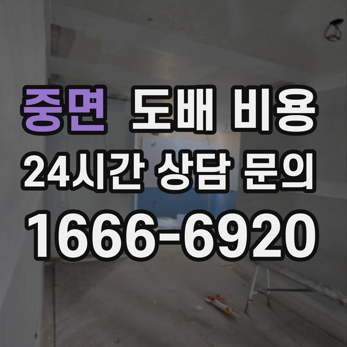 중면 도배 비용