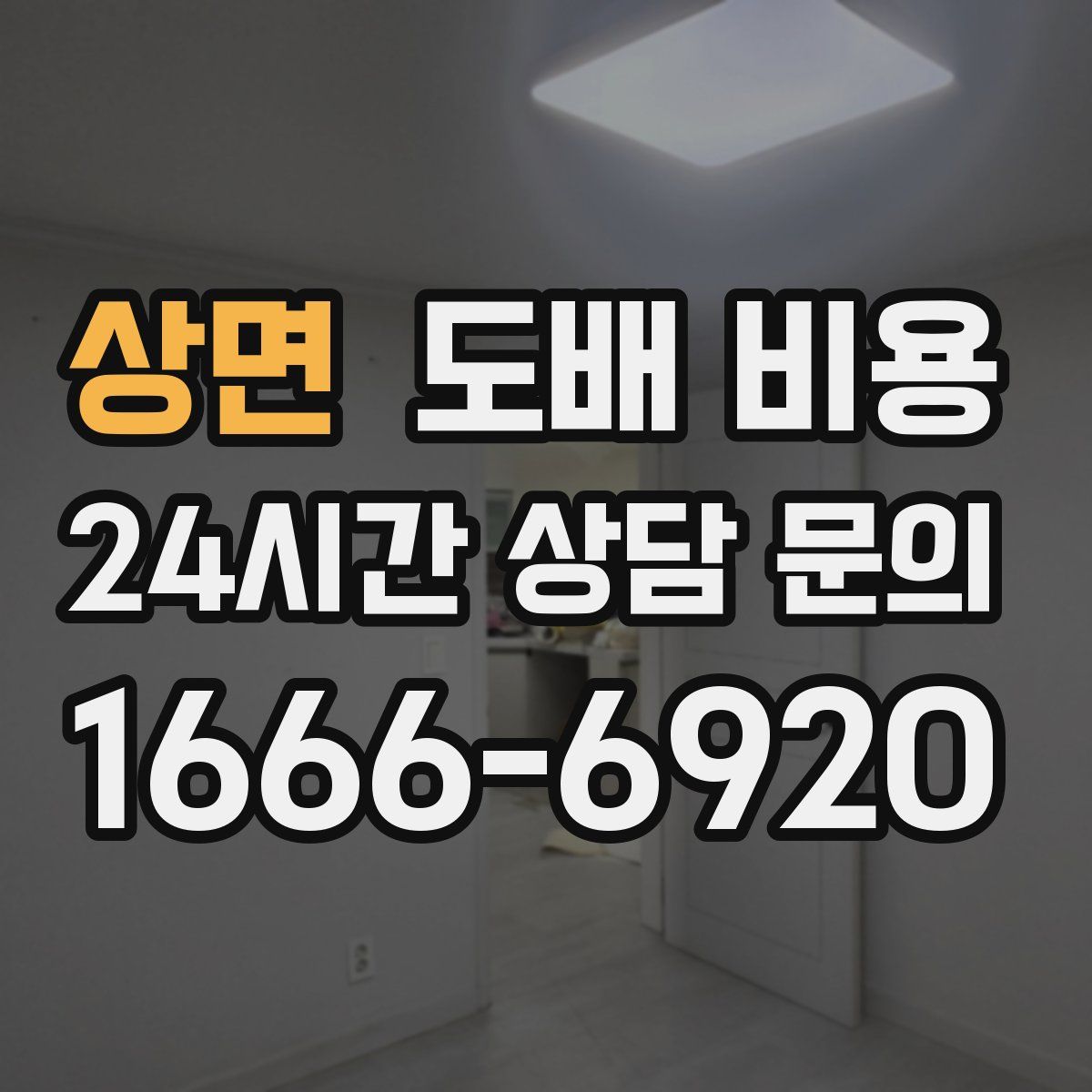 상면 도배 비용
