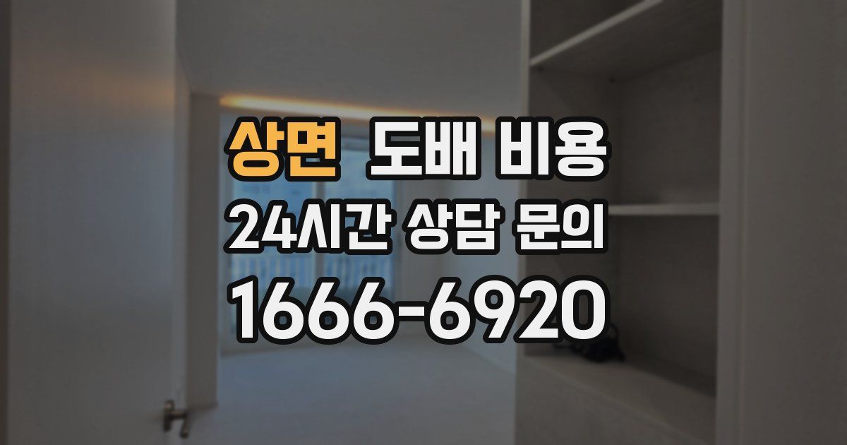 상면 도배 비용