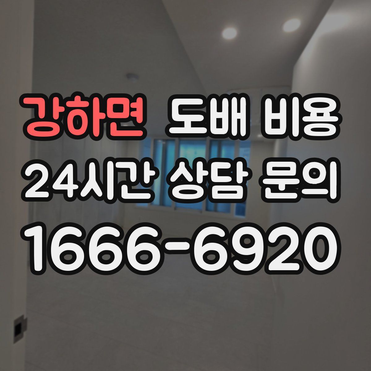 강하면 도배 비용