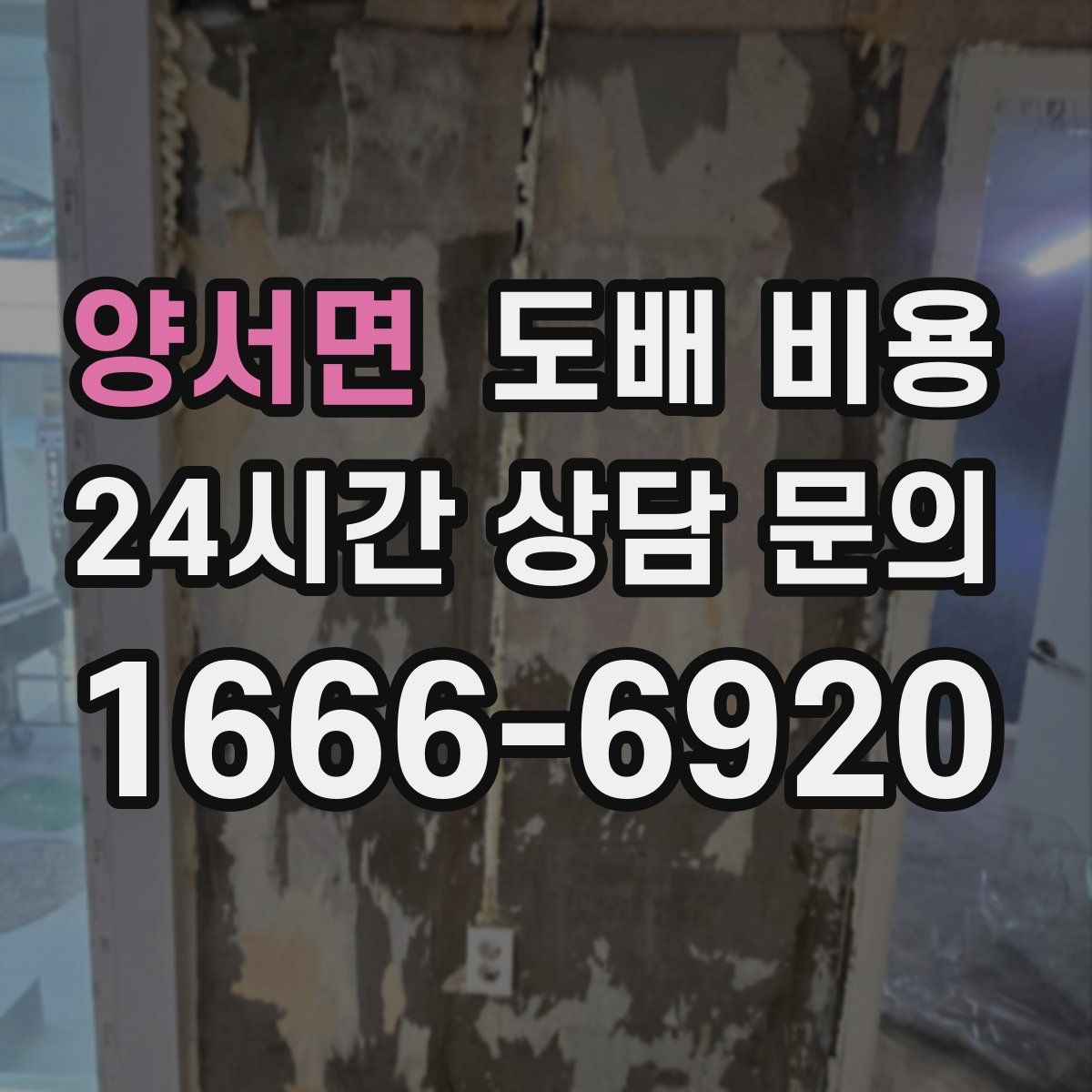 양서면 도배 비용