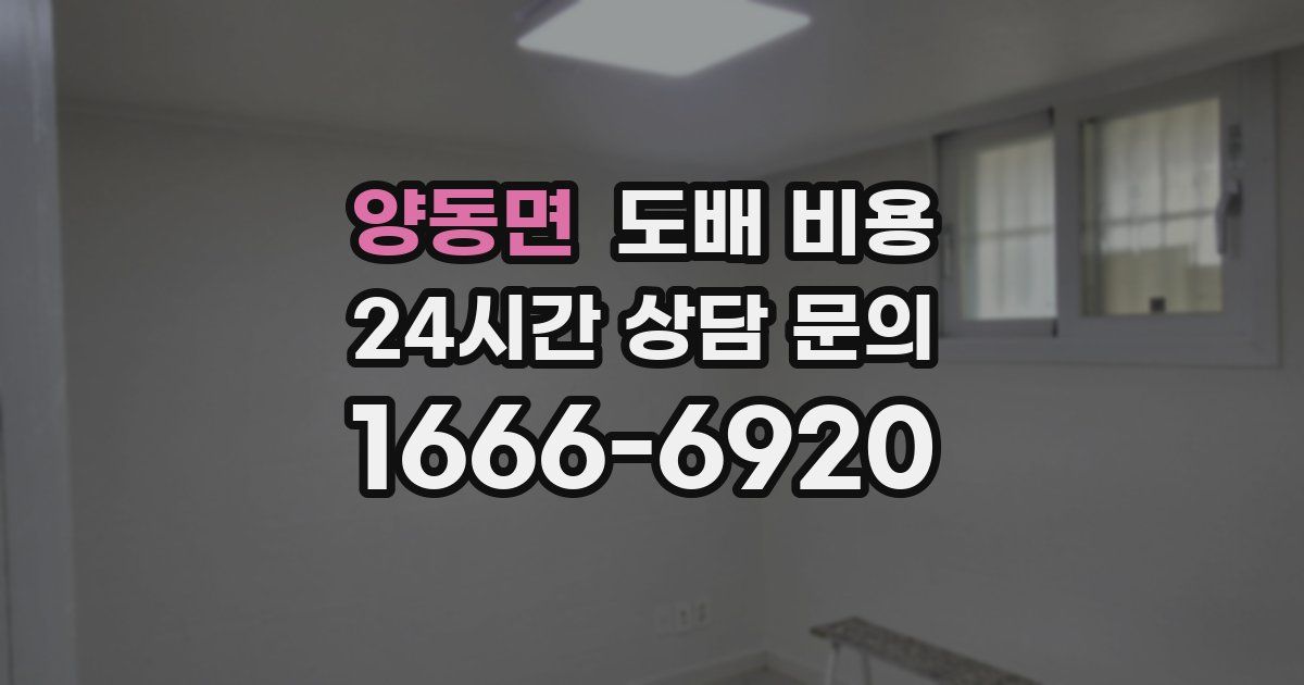 양동면 도배 비용