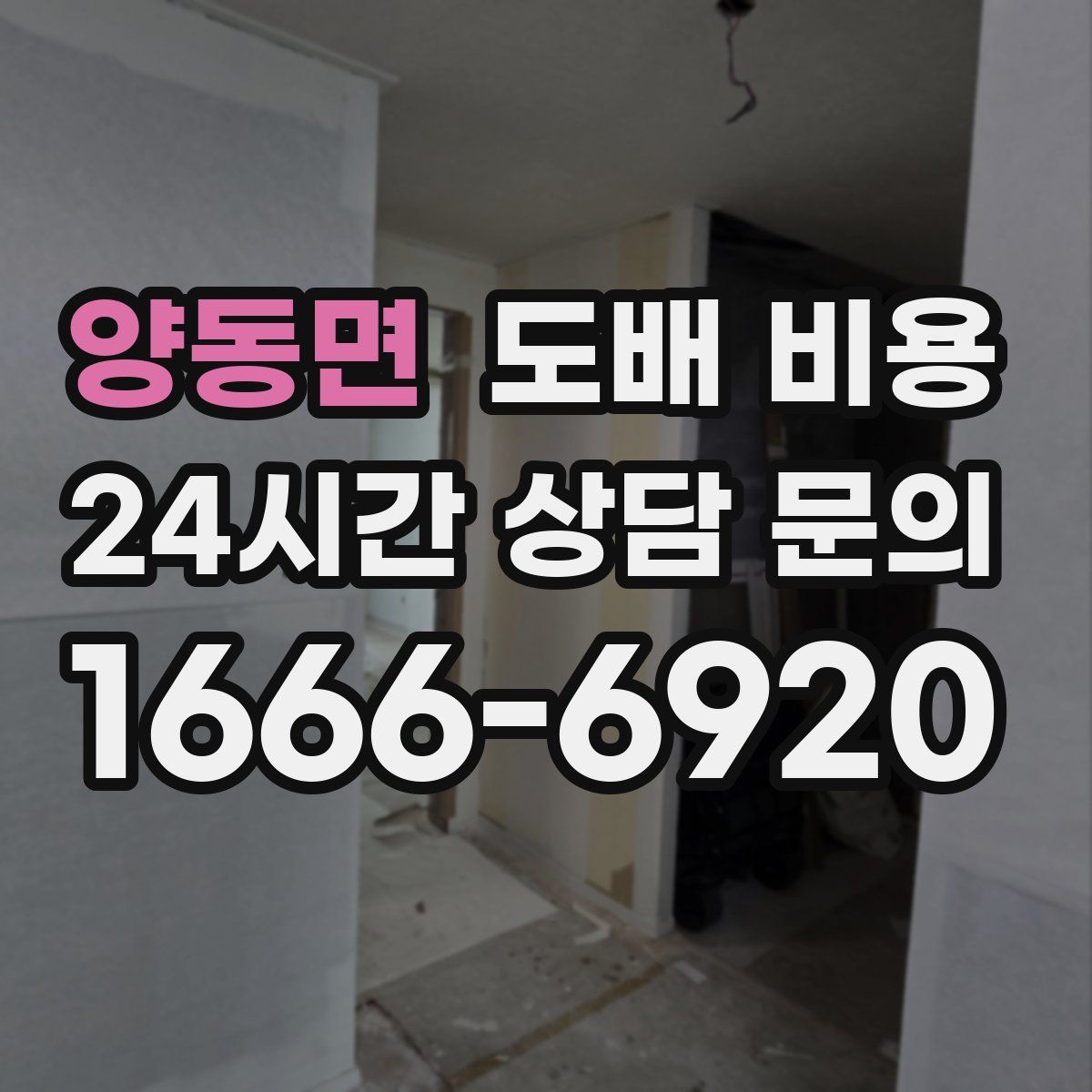 양동면 도배 비용