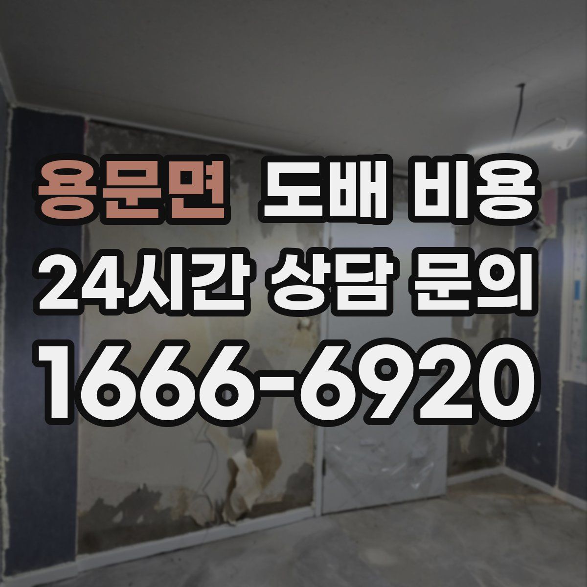 용문면 도배 비용