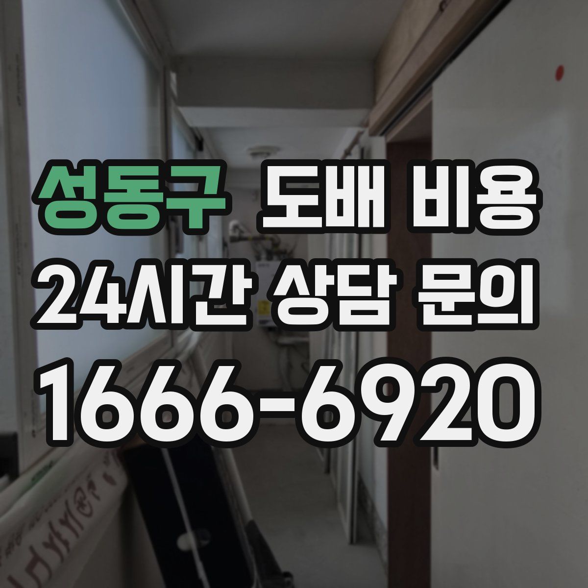 성동구 도배 비용