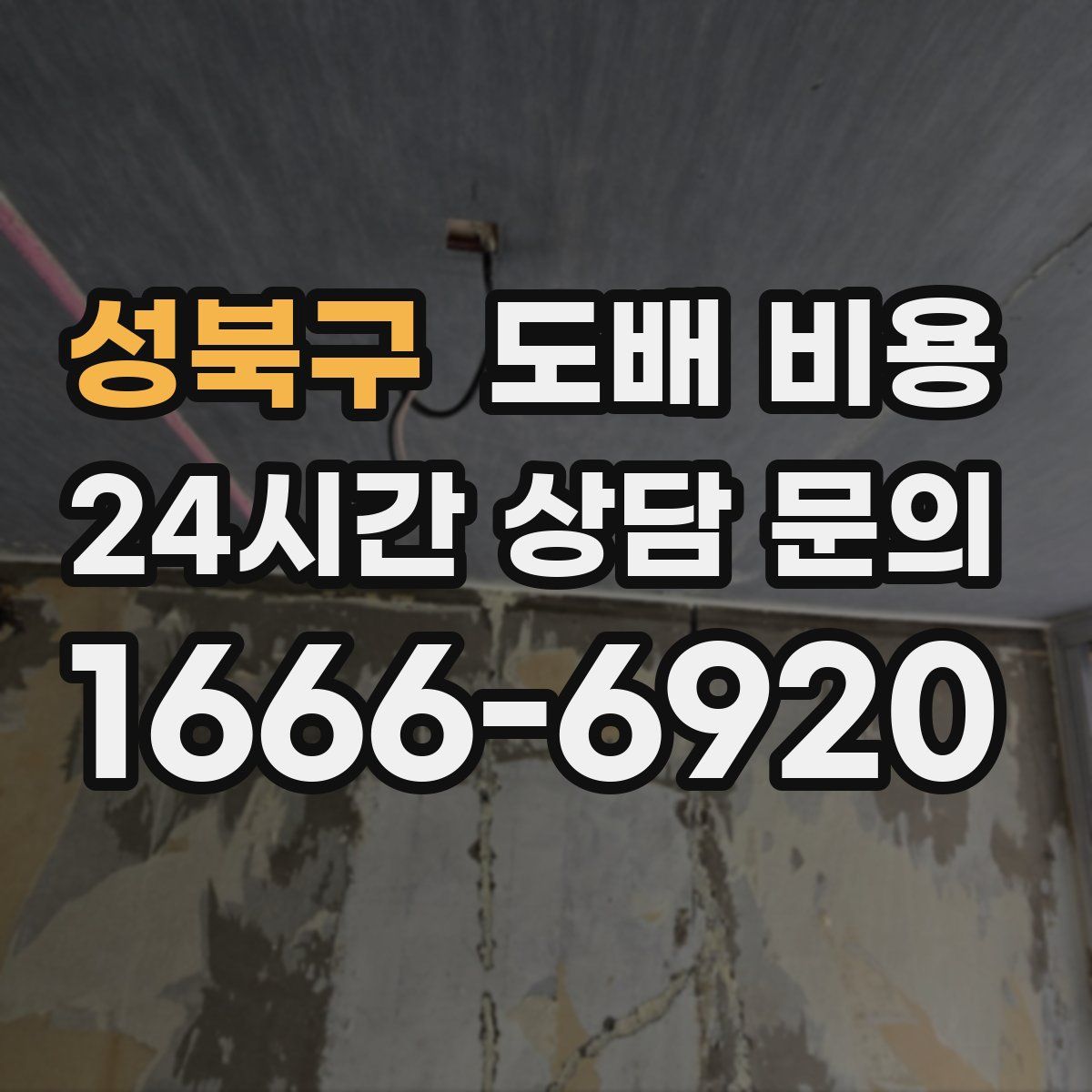 성북구 도배 비용