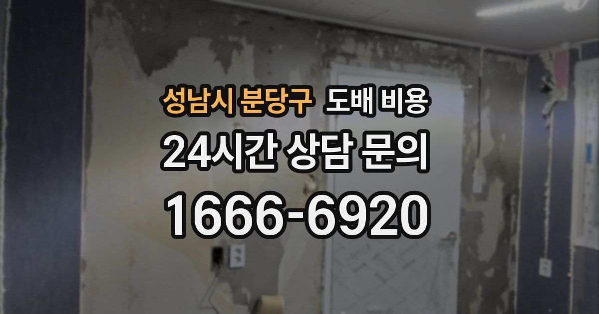 성남시 분당구 도배 비용