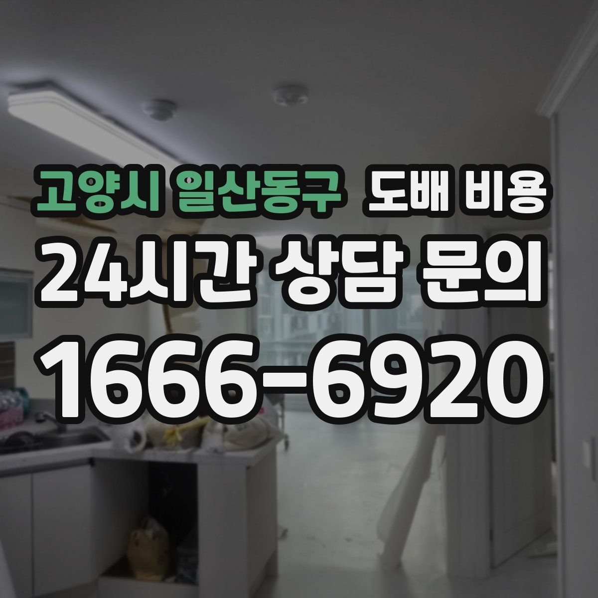 고양시 일산동구 도배 비용