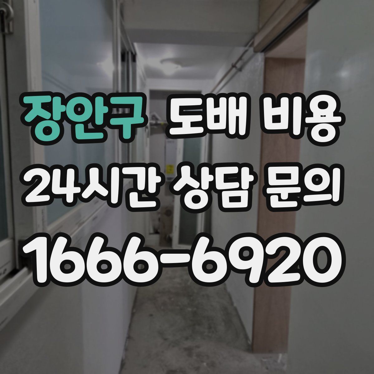 장안구 도배 비용