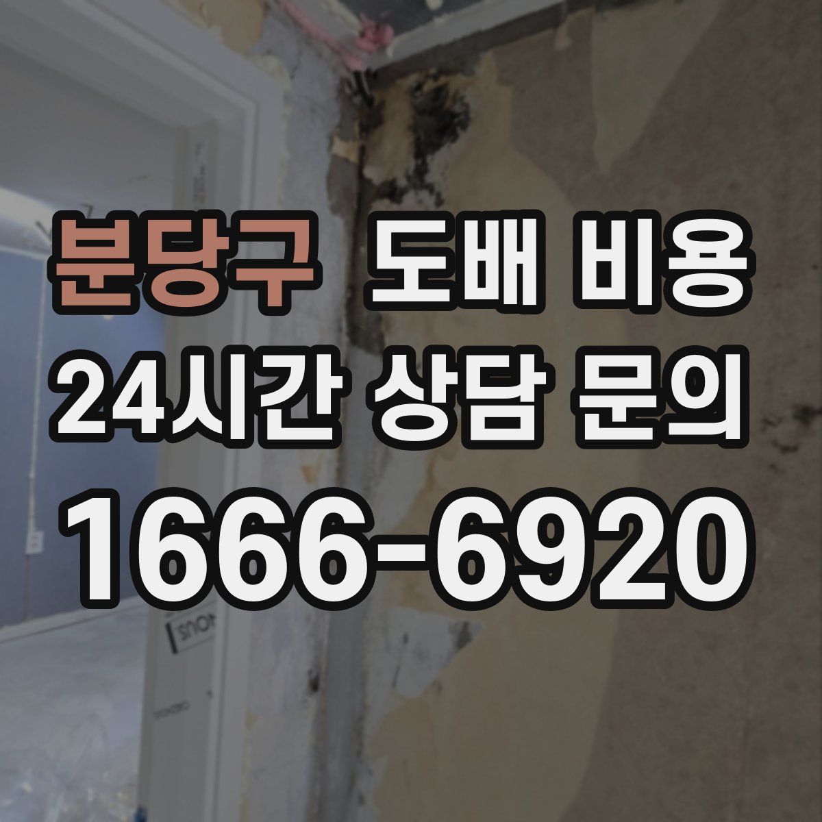 분당구 도배 비용