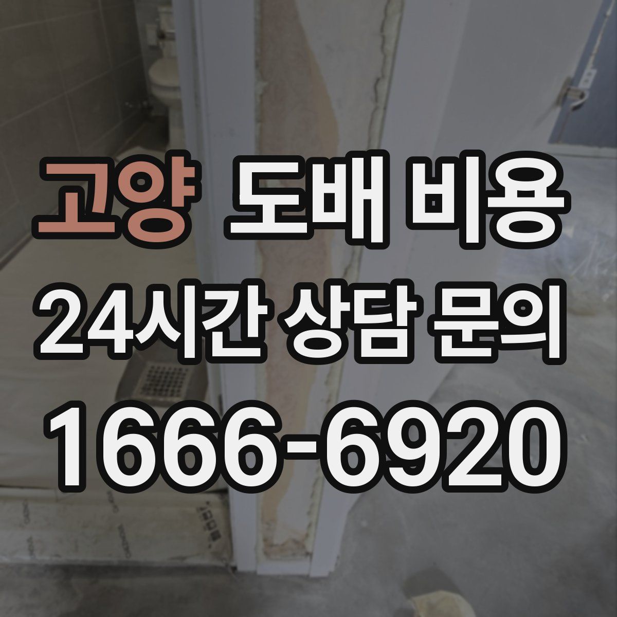 고양 도배 비용