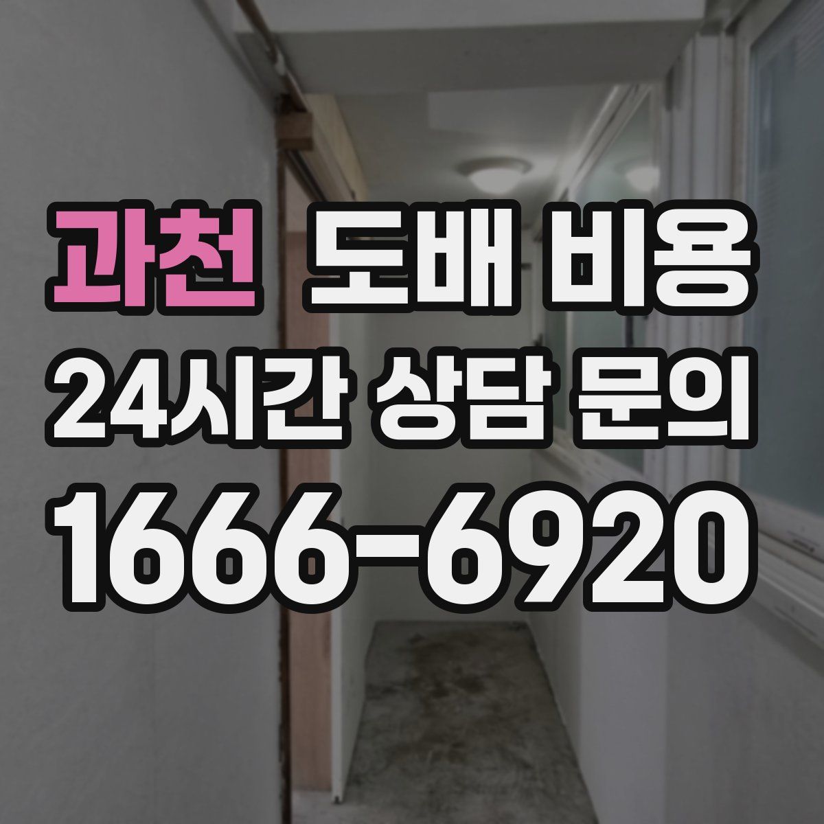 과천 도배 비용